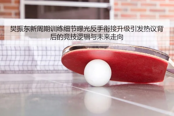 樊振东新周期训练细节曝光反手衔接升级引发热议背后的竞技逻辑与未来走向